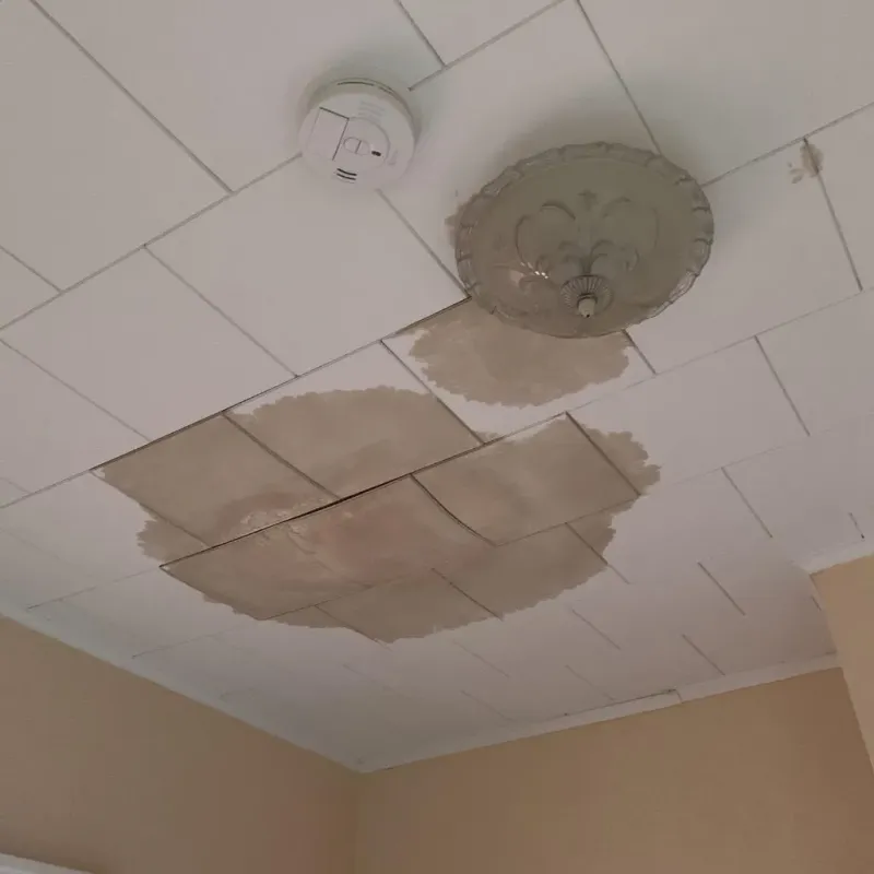 Ceiling Water Damage Repair in Providence, RI